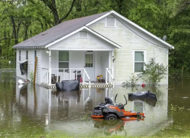 Flood inundated timber floors